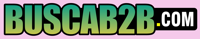 Buscab2b